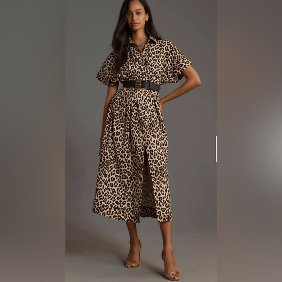 Anthropologie Dresses & Skirts - Anthropologie The Tobie Button-Front Pleated Shirt Dress by Exquise